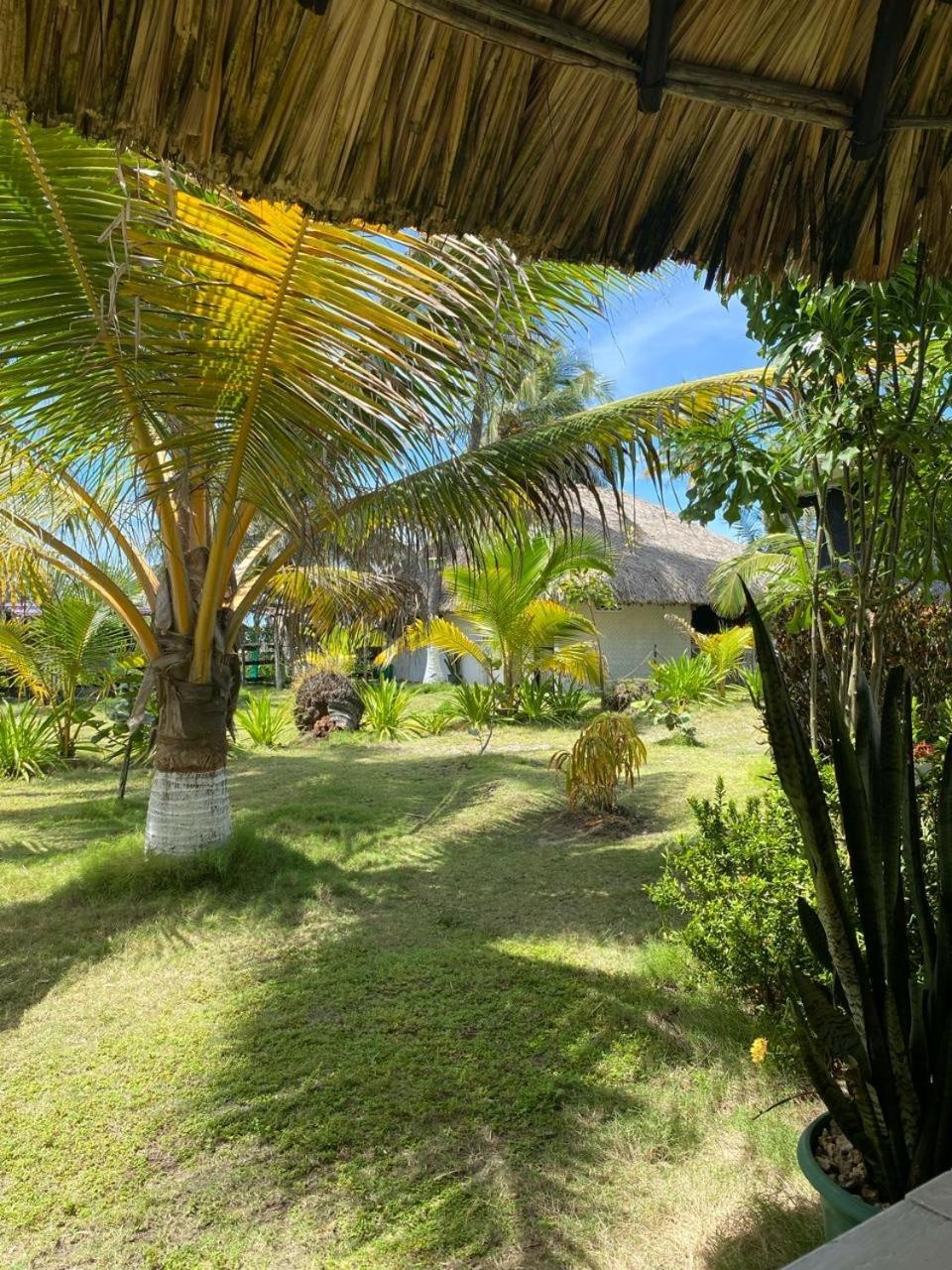Zéfiro Hostal San Bernardo del Viento Exteriér fotografie